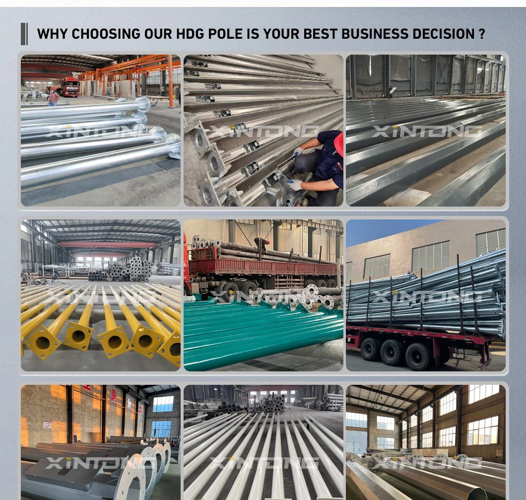 2023-9-21031 2023-9-21031